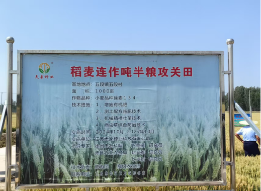 徐州噸半糧攻關小麥示范產量取得突破316.png